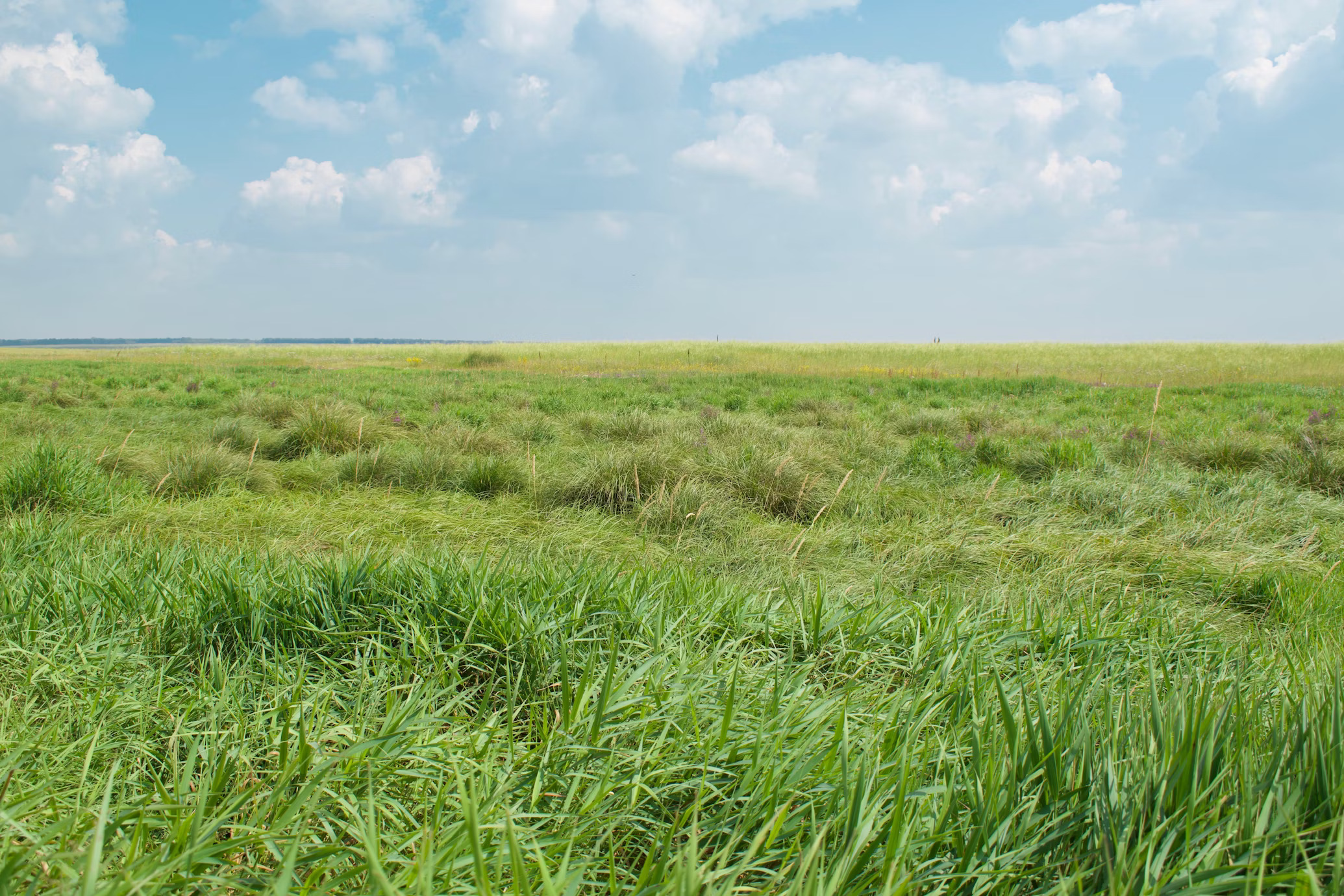 Transformasi Perizinan Lingkungan di Indonesia