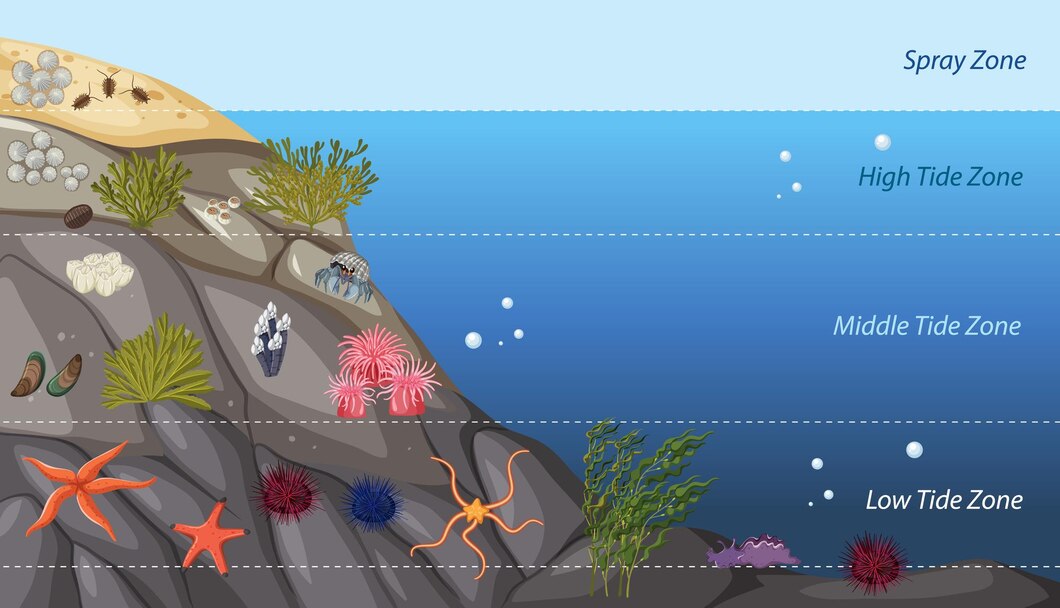 Blue Carbon, Potensi Ekosistem Laut dalam Menekan Emisi Karbon