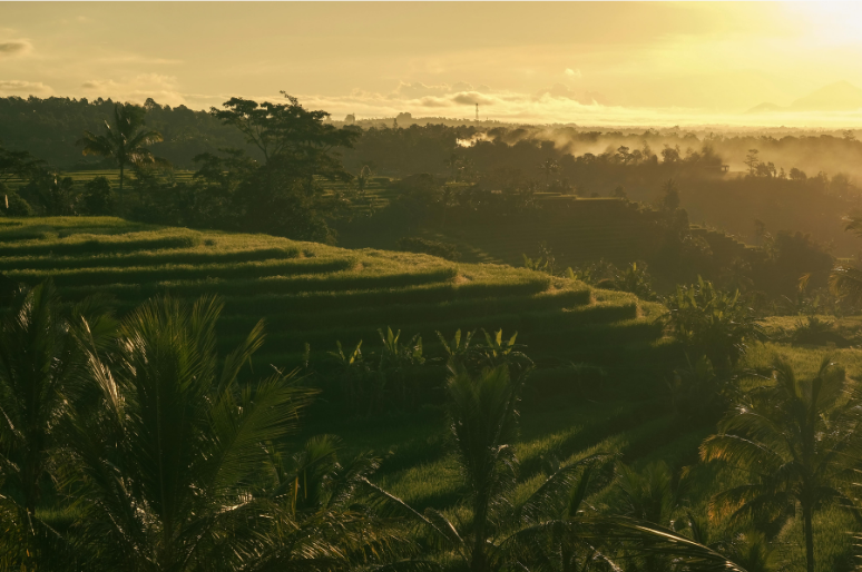 Praktik Budaya Lokal Ramah Lingkungan yang Masih Relevan Hingga Saat Ini