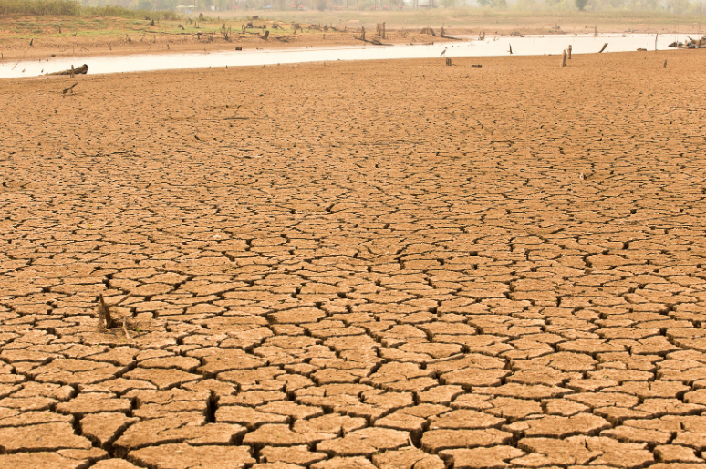 Apa Itu Godzilla El Niño? Pengertian, Penyebab, dan Dampaknya terhadap Perubahan Iklim