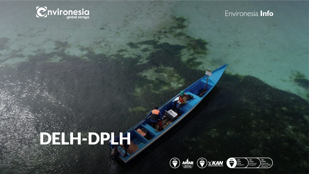 Apa Yang Dimaksud Dengan DELH-DPLH ?